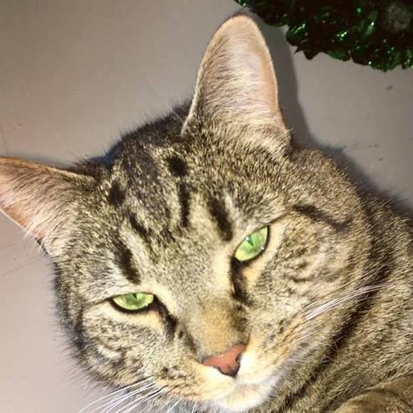 Meet your Posher, Kimberly - Picture 1 of 3